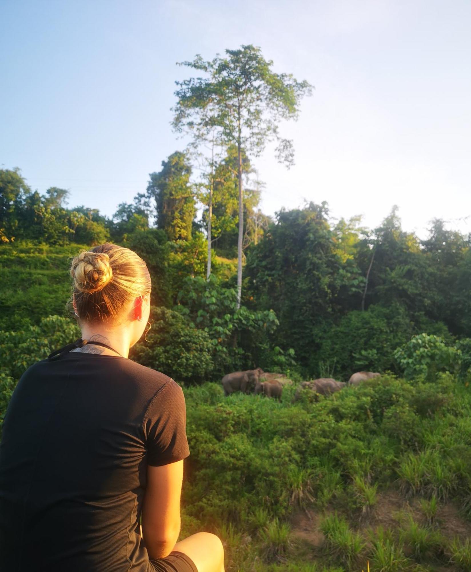 Wild Lodge Taman Negara Kuala Tahan Ngoại thất bức ảnh